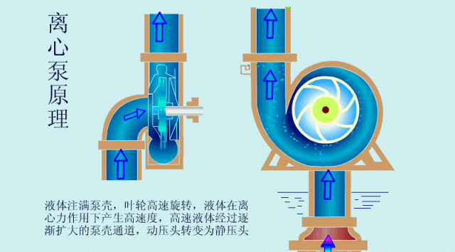 離心泵啟動時，出口閥門必須關閉嗎？
