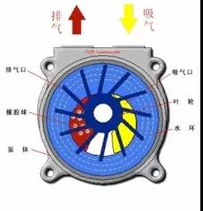 看圖秒懂 36種泵原理 展會(huì)新聞 第23張-