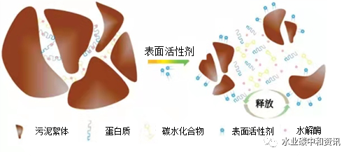 表面活性劑對污水處理效果的影響與機理 新聞資訊 第2張-