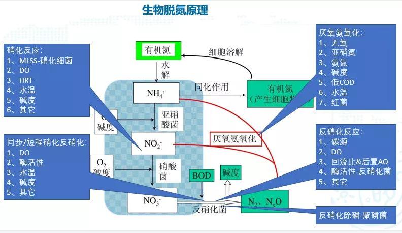 碳中和趨勢(shì)下污水處理節(jié)能降耗技術(shù)需求解讀 新聞資訊 第2張-