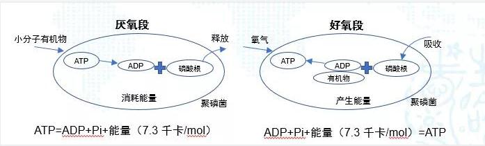 碳中和趨勢(shì)下污水處理節(jié)能降耗技術(shù)需求解讀 新聞資訊 第3張-