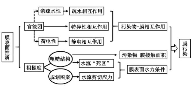 高壓膜表面性質對膜污染的影響機制 新聞資訊 第1張-