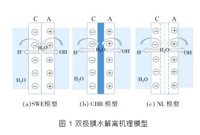 雙極膜電滲析技術(shù)的研究進(jìn)展 新聞資訊 第1張-
