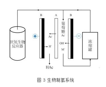 雙極膜電滲析技術(shù)的研究進(jìn)展 新聞資訊 第3張-