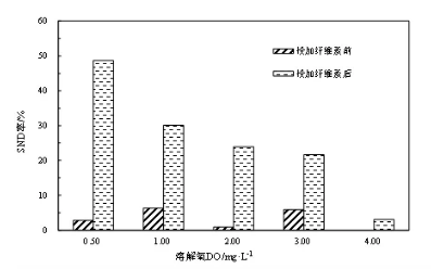 纖維素對(duì)污水生物處理系統(tǒng)性能的影響及機(jī)理分析 新聞資訊 第6張-