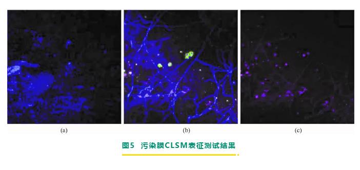 反滲透/納濾膜剖檢分析與膜污染診斷研究進(jìn)展 新聞資訊 第8張-