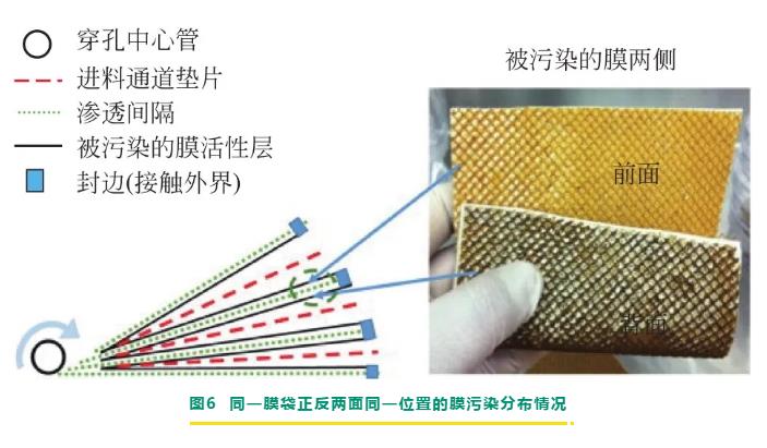 反滲透/納濾膜剖檢分析與膜污染診斷研究進(jìn)展 新聞資訊 第9張-