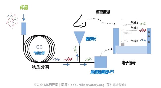 會飛的電子鼻——污水處理4.0時代的無人機應(yīng)用 新聞資訊 第5張-